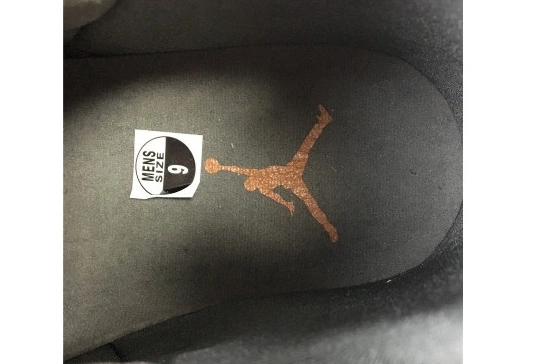 AT3375-100 AT3375-100 JORDAN AIR “ICICLE” X 7 PATTA 0411